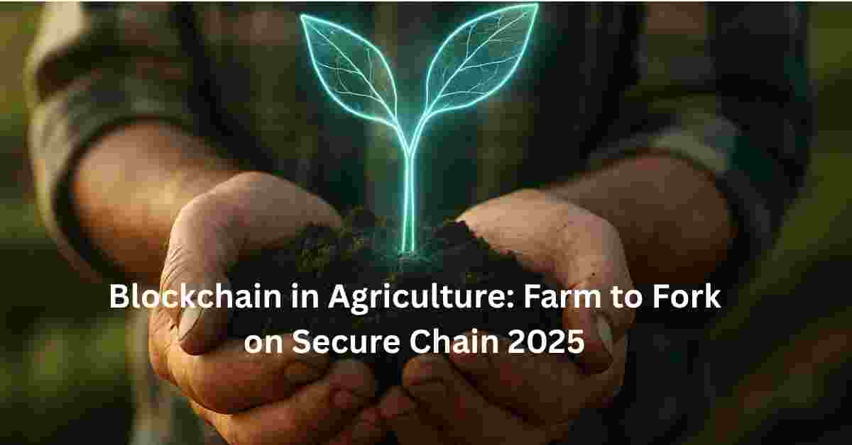 From Farm to Fork: How Blockchain Is Quietly Revolutionizing Your Food